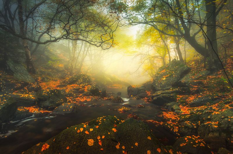 Just silence фото превью