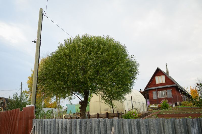 кудьма, дачи, осень, Кудьма в сентябре фото превью