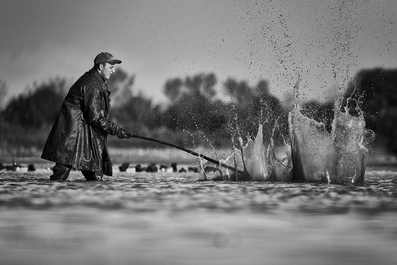 From the catch фото превью