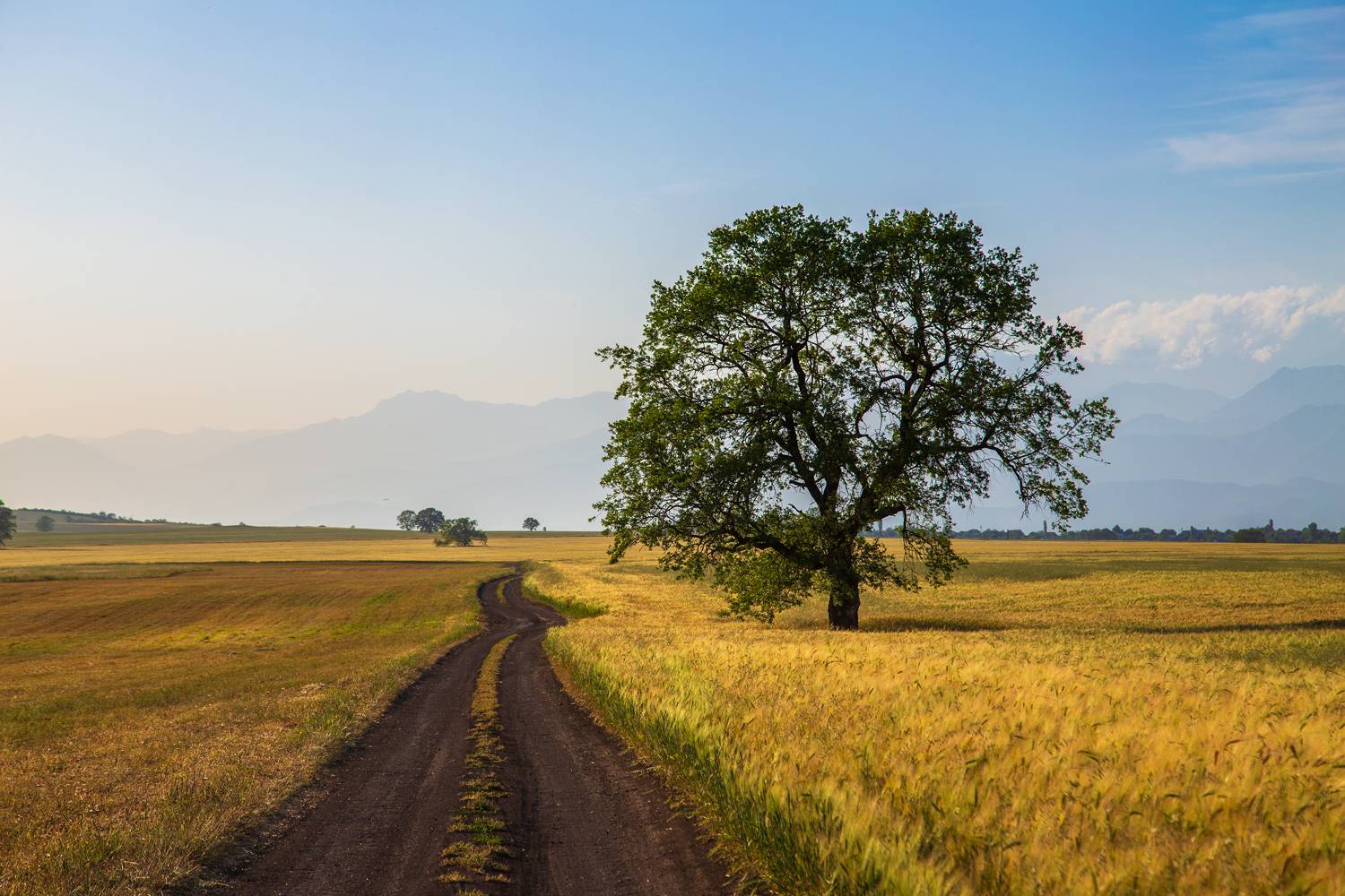 , Денис Свечников