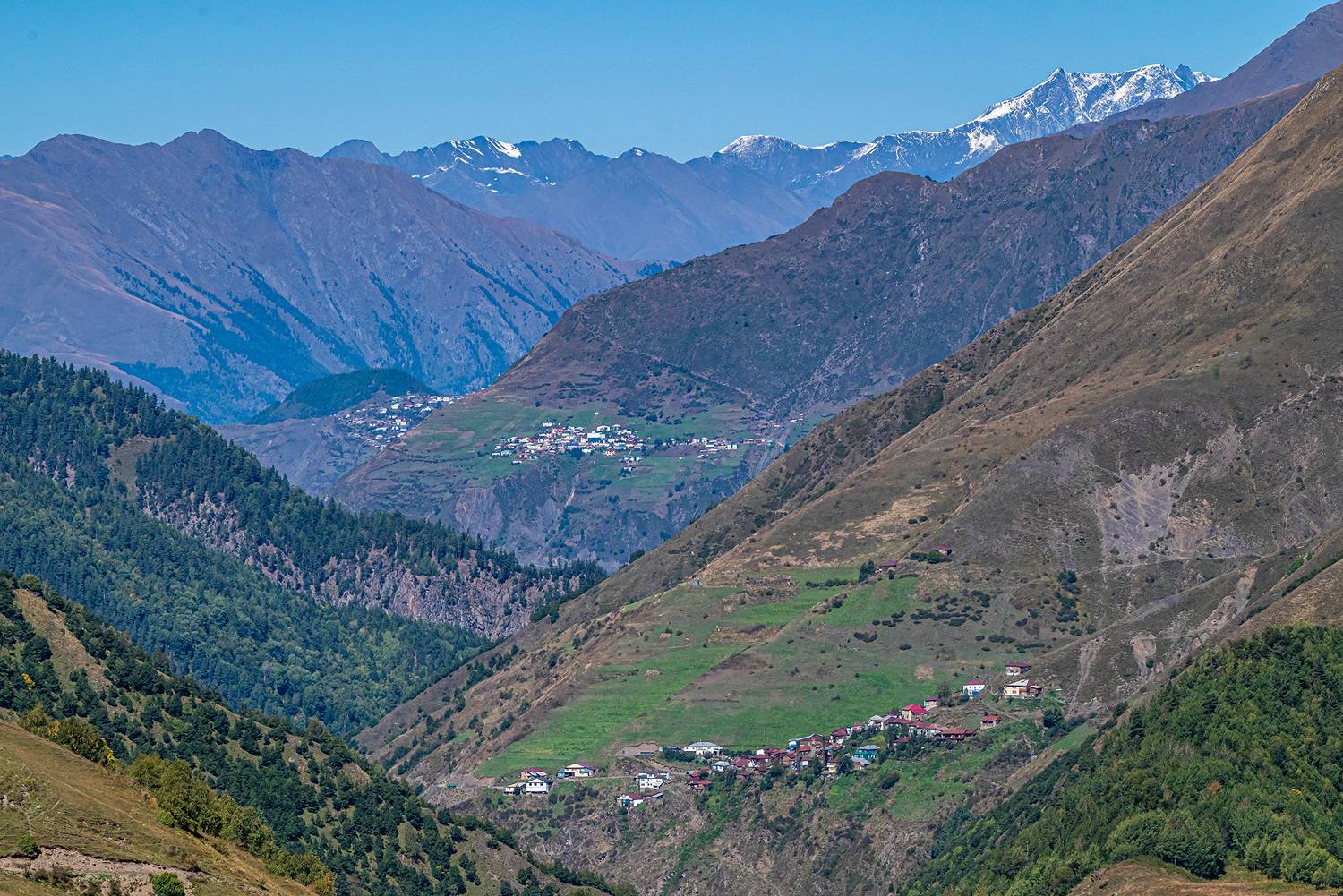 дагестан, тляратинский заказник, Савчук Сергей