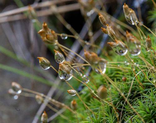 После дождя