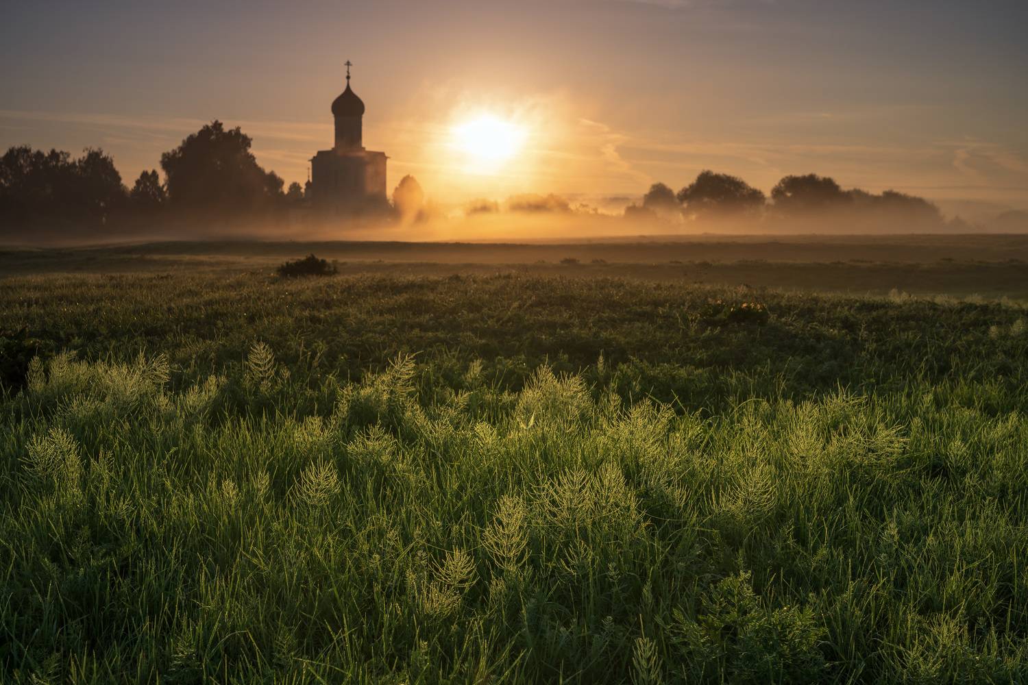 покрова на нерли, боголюбово, Зверев Олег