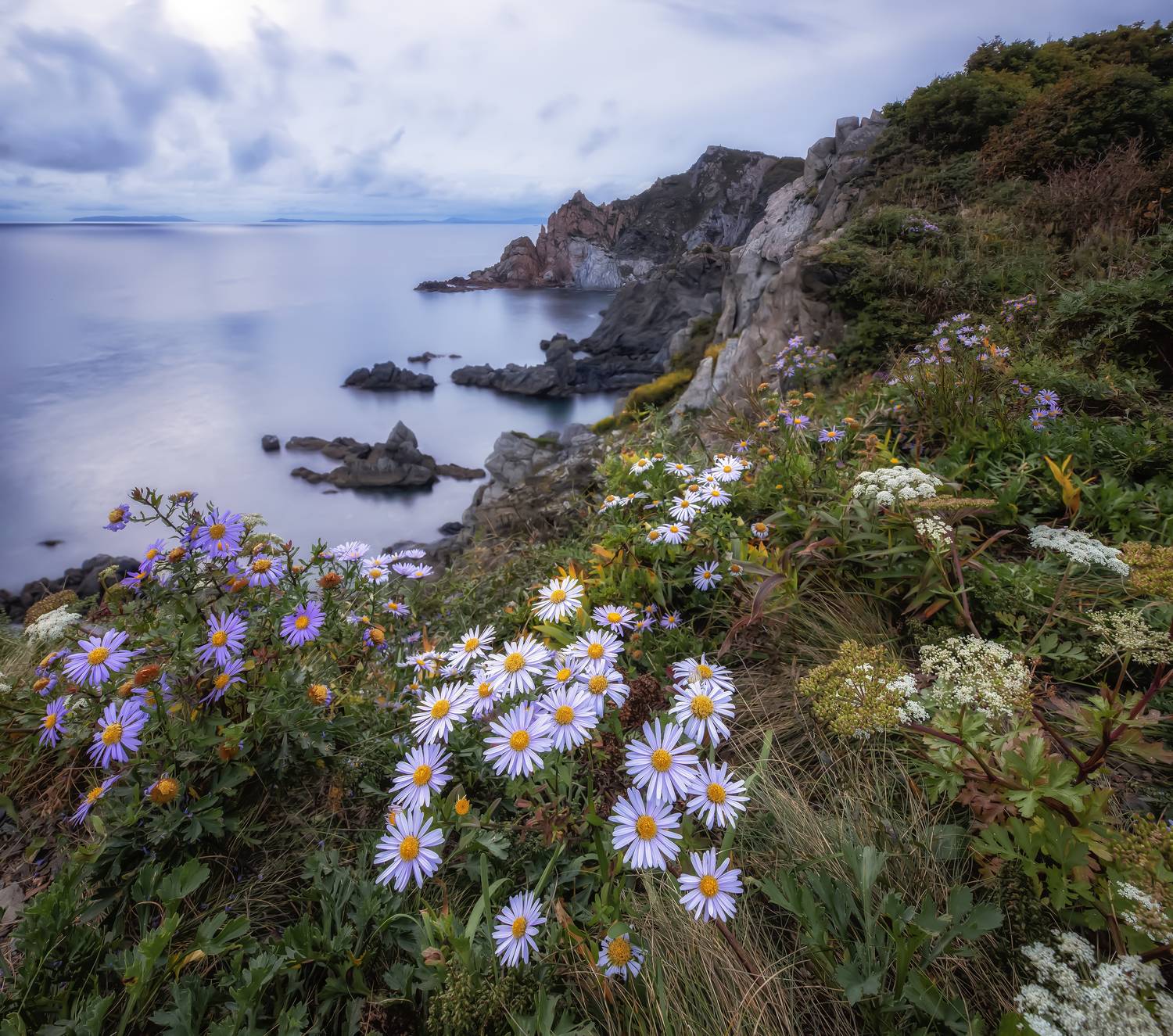 приморский, край, Елена Гусева