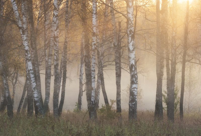 НЕоткрыточная осень фото превью