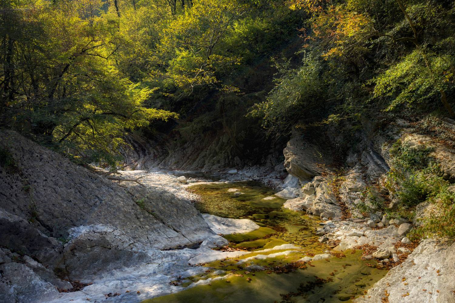 , Сергей Тихомиров