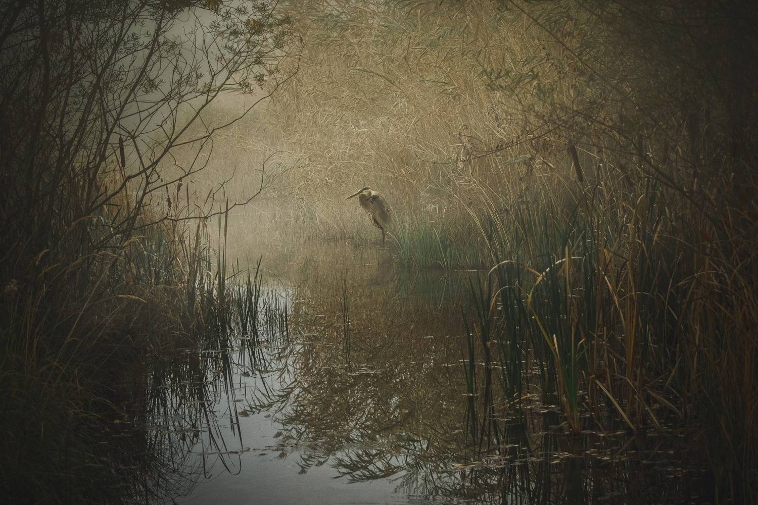 , Алиева Татьяна