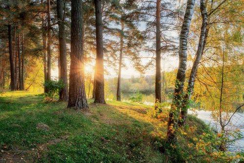 Осенние зарисовки