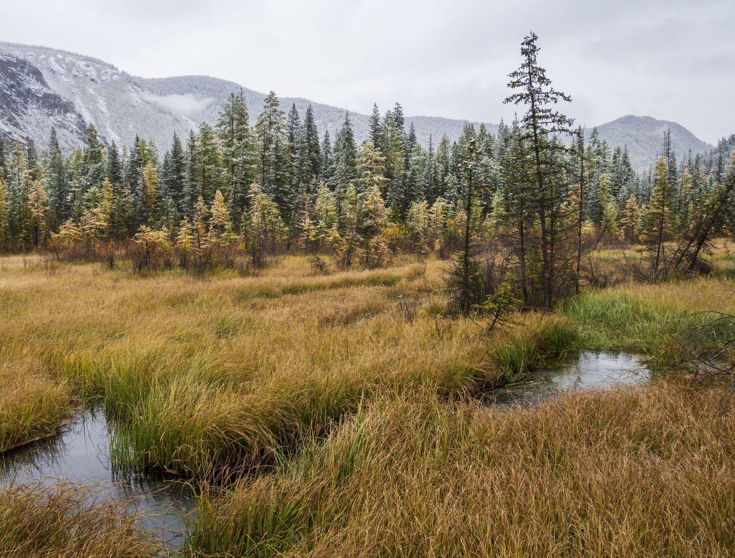 , Андрей Хаймин