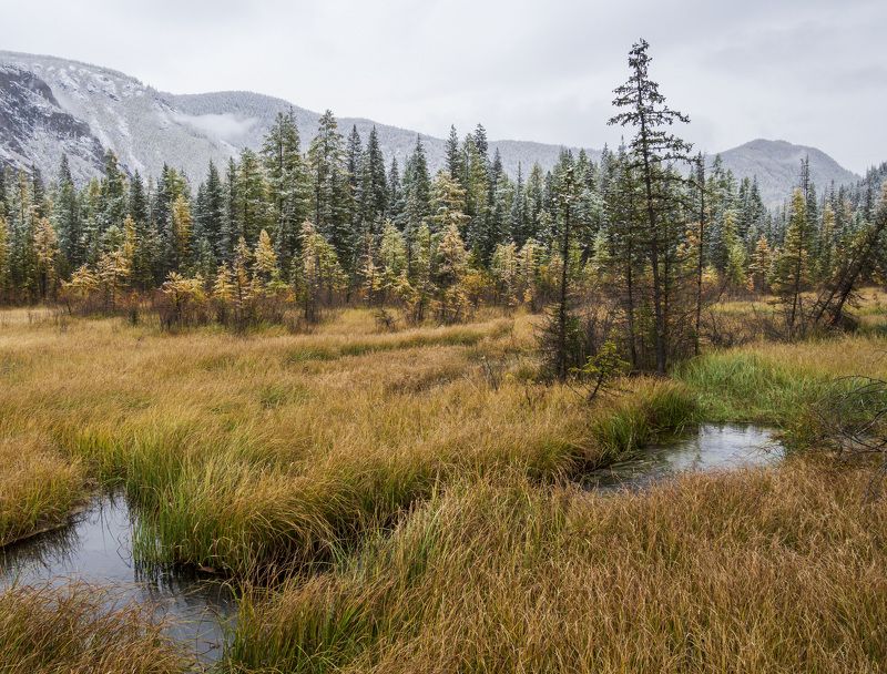 Алтайская осень фото превью