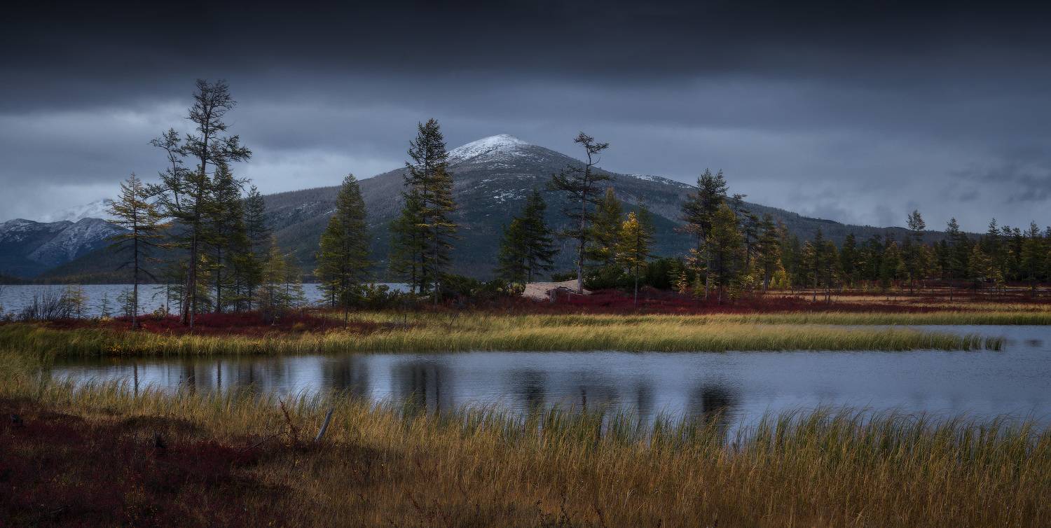 колыма, озероджекалондона, пурга, Владимир Ляпин