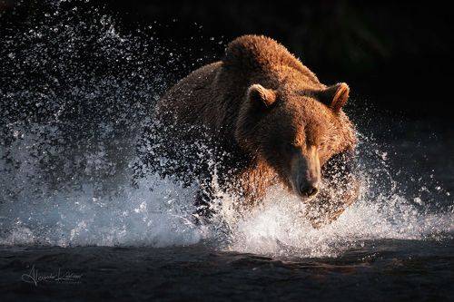 Вечерний драйв...