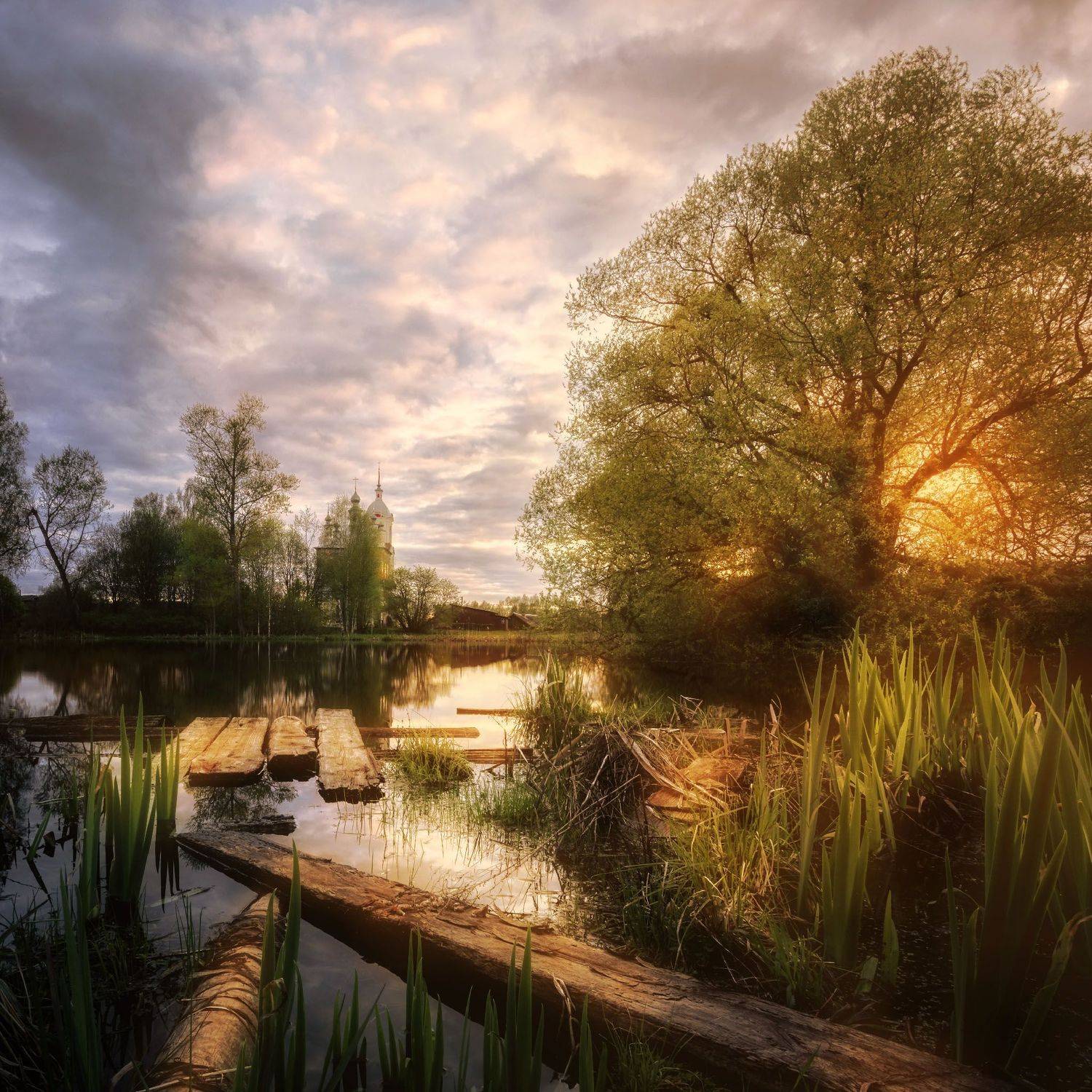 , Степанов Виктор