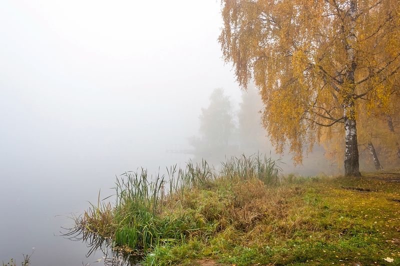 На берегу осенней реки фото превью
