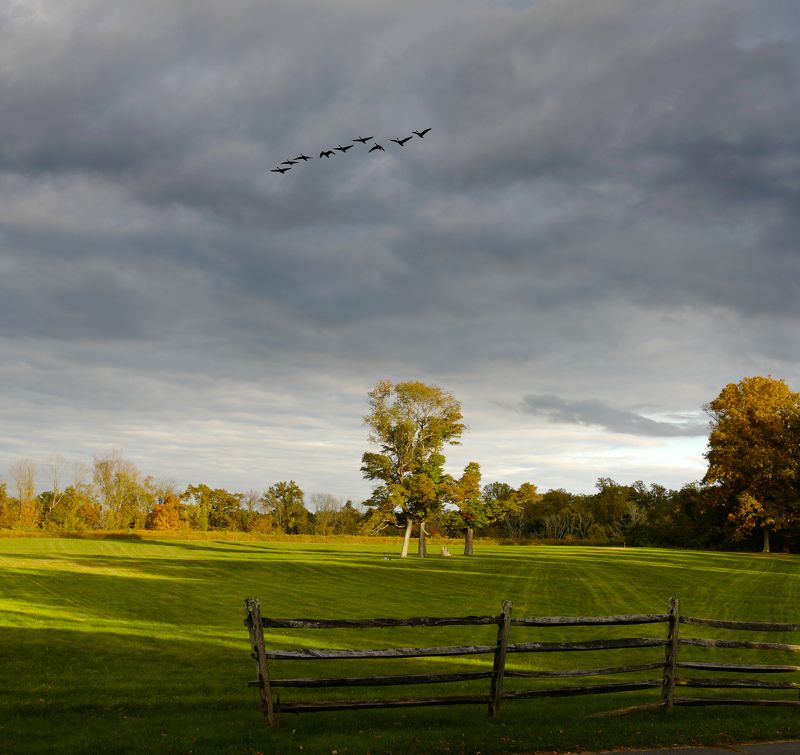 Perspective Love in Air Again фото превью