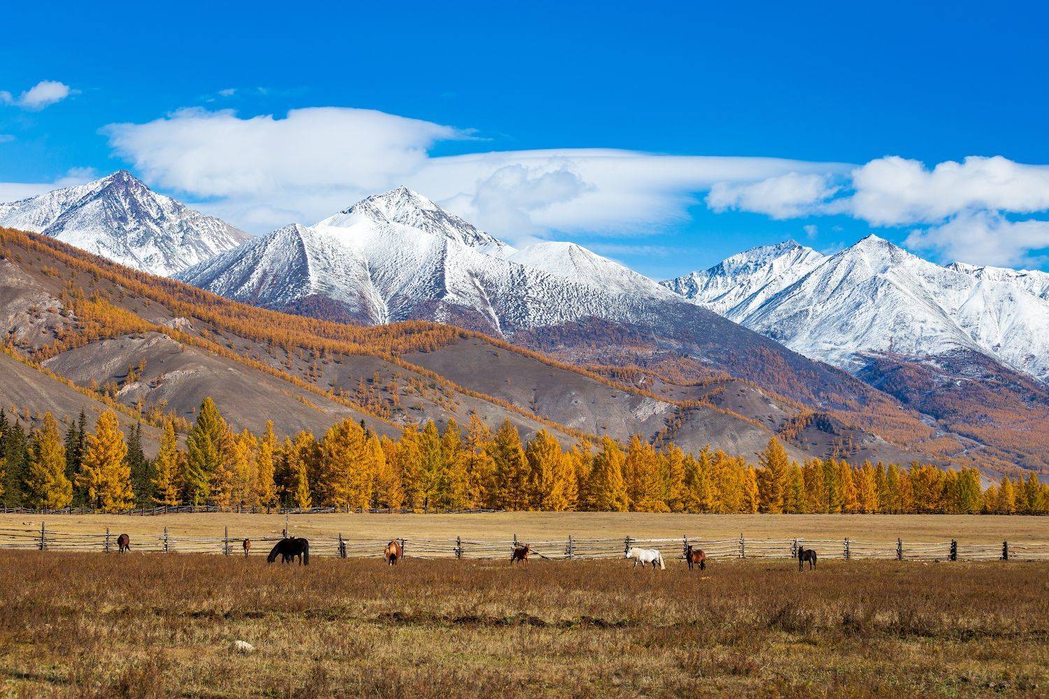 , Буянов Илья