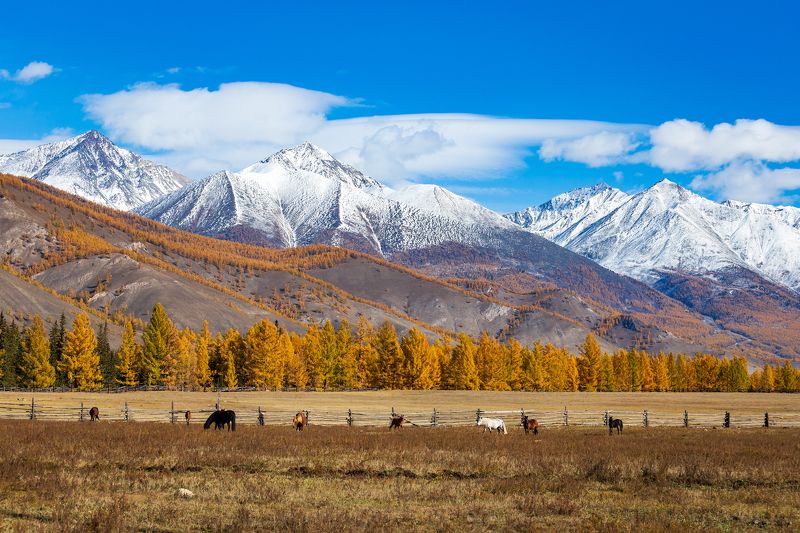 Саяны. Хребет Кропоткина. фото превью