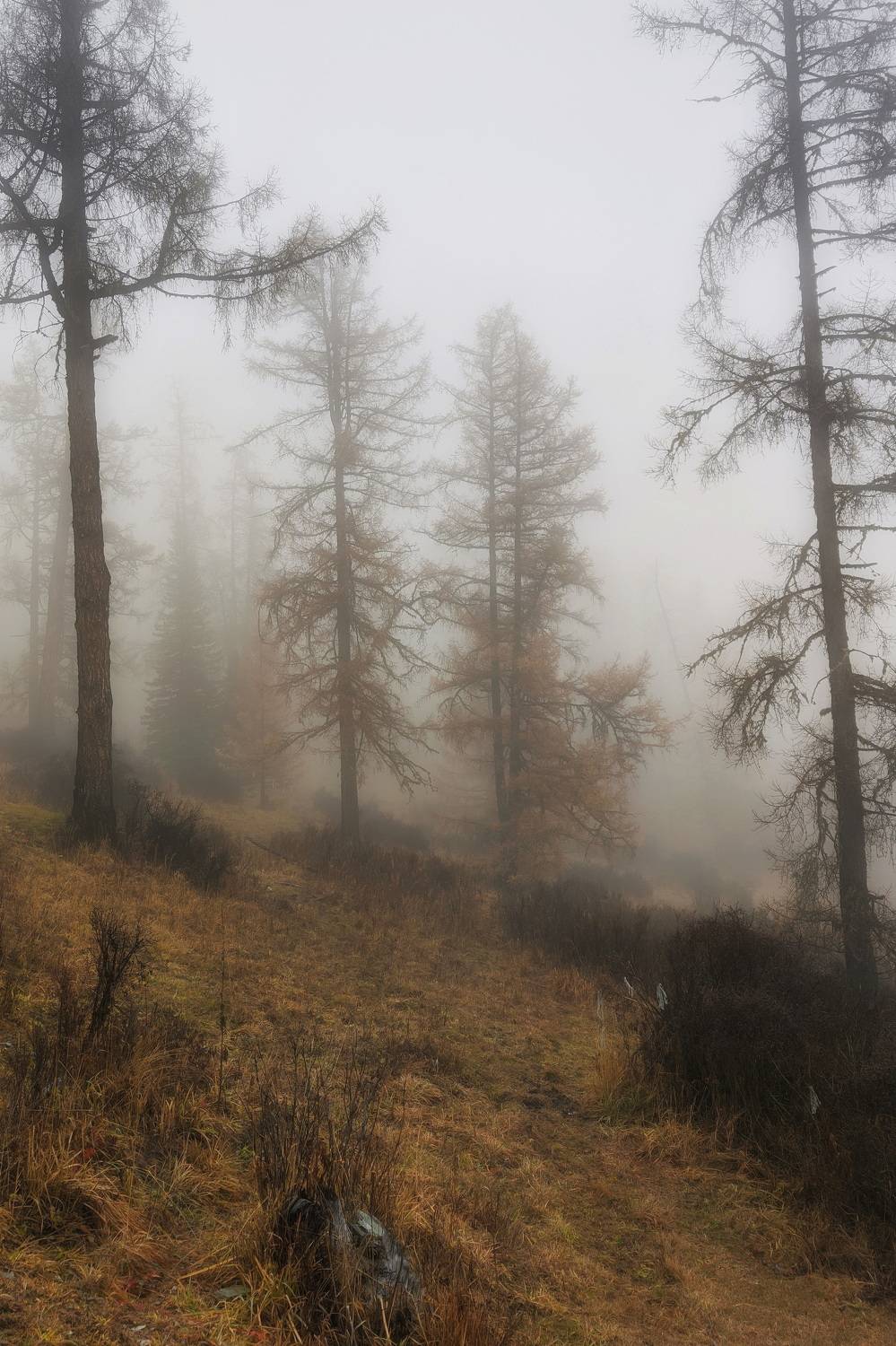 , Кузнецов Дмитрий