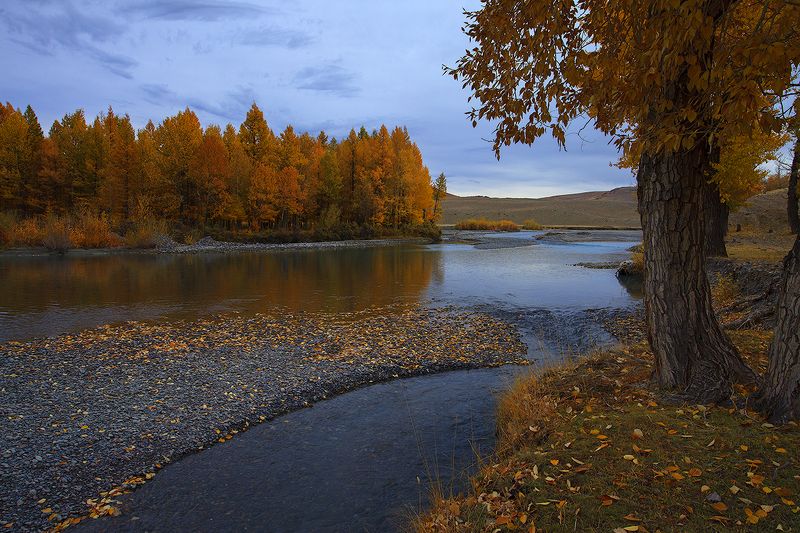 Осенняя рапсодия фото превью