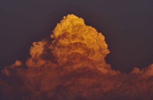 Cotton Candy