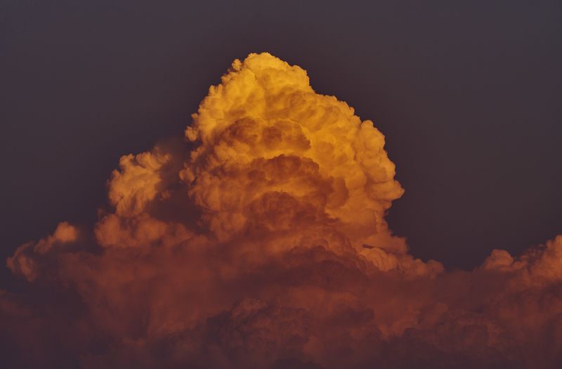 summer  Cotton Candy фото превью