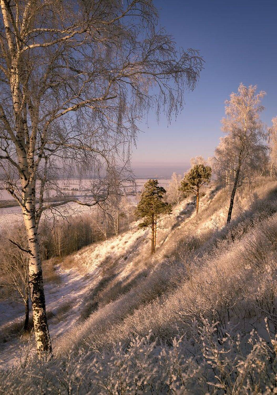 , Алексей Хахлов