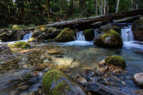 Река Бадук...