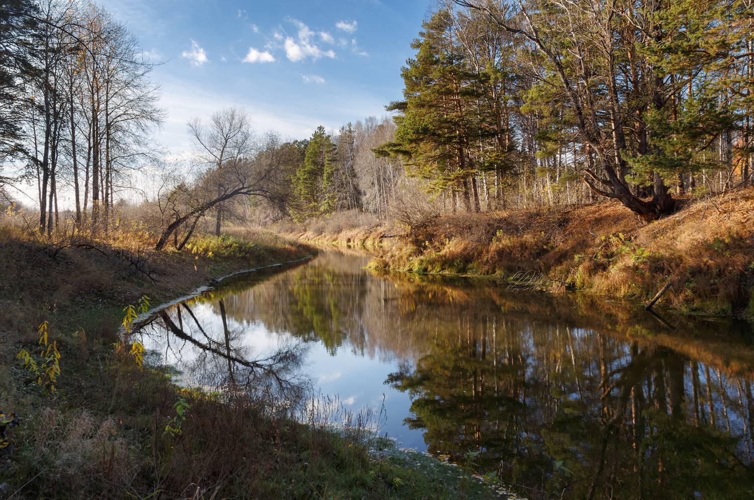 ,  Гобова Наталья