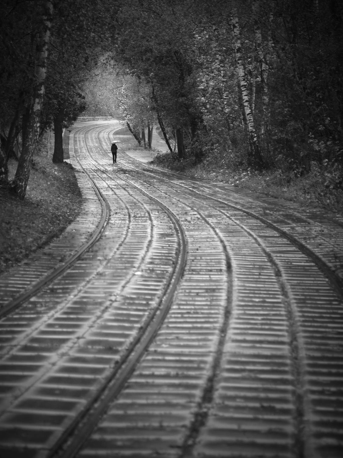 , Сергей Кот