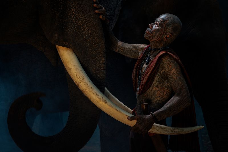 A mahout and his elephant фото превью