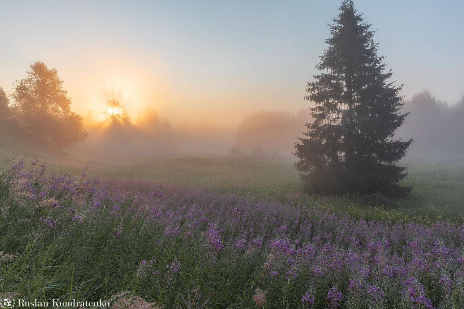 река, рассвет, лемовжа, закат, Кондратенко Руслан