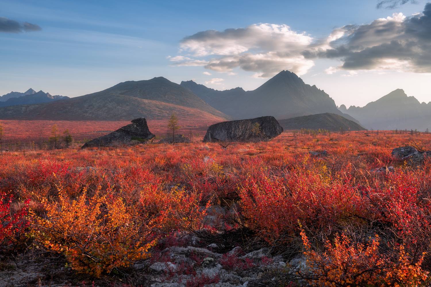 озеро, джека, лондона, Максим Евдокимов