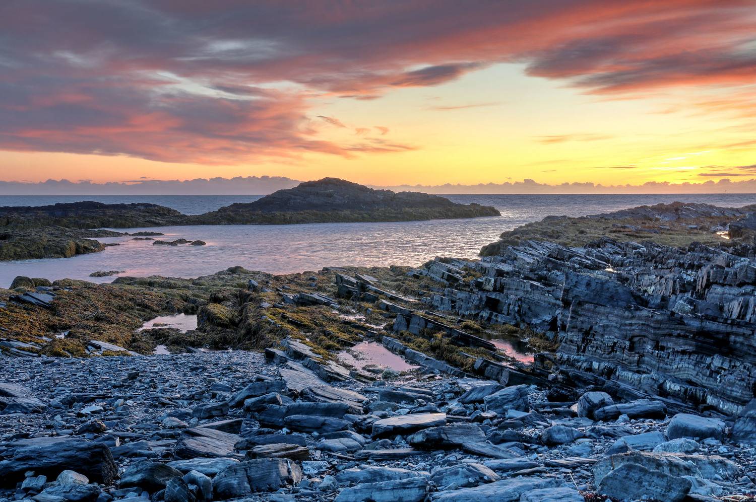 , Добролюбова Тамара