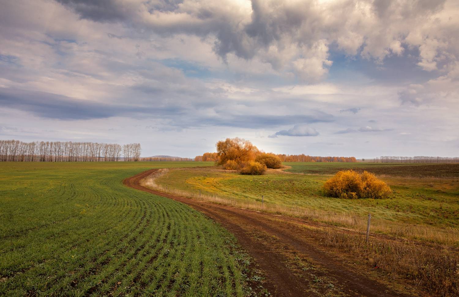 Осень. Башкирия., Юрий Чернов