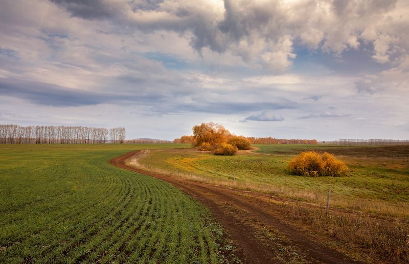 Осень. Башкирия. Осень в Башкирии. фото превью