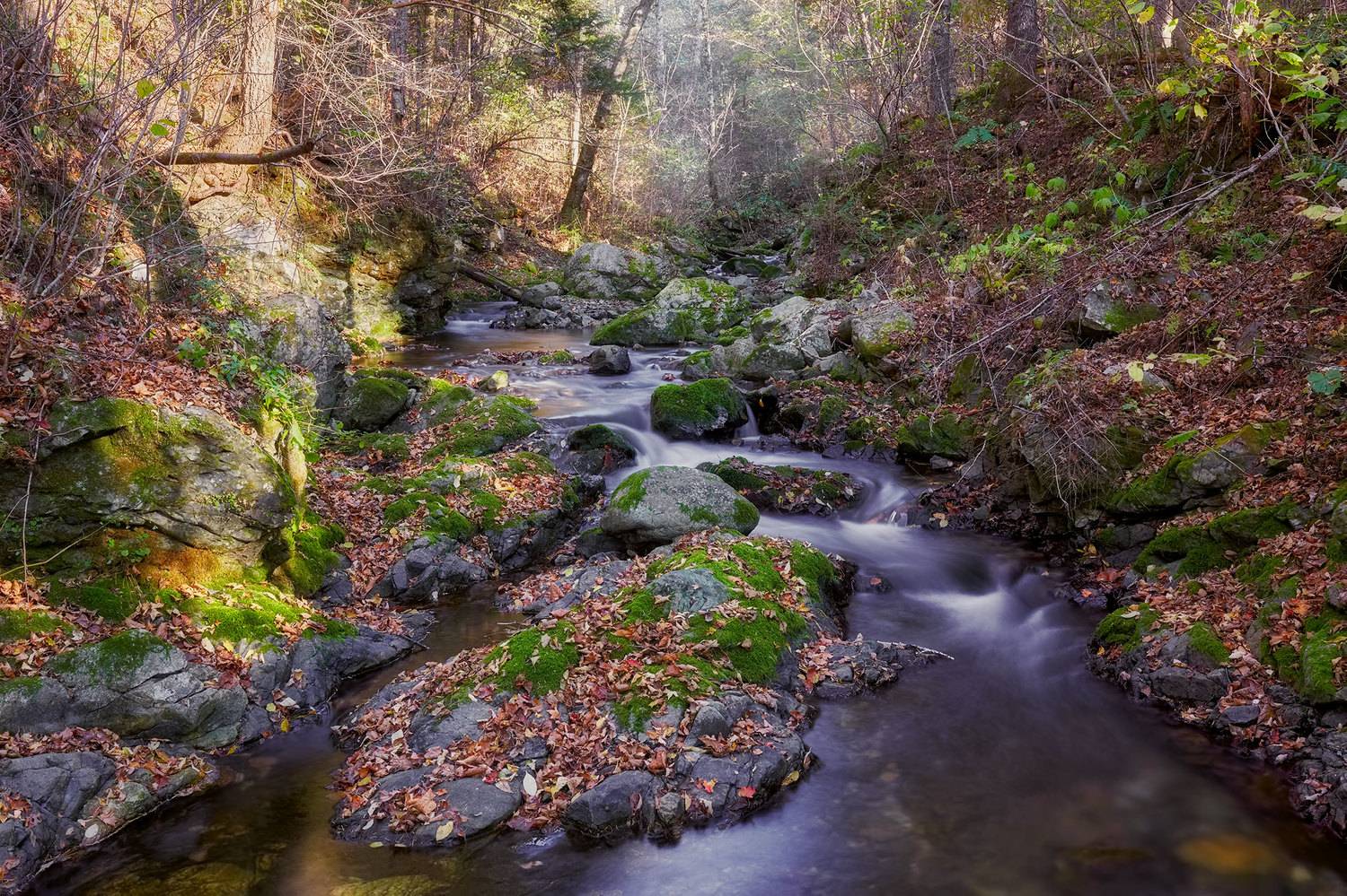 осень, тайга, ручей, приморье, скалы, Евгений Паршуков