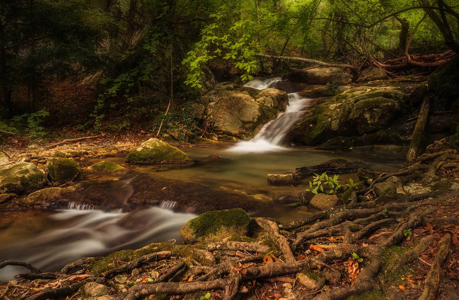 Крым, река, горы, лес, природа, деревья, пейзаж, Владимир Яковлев