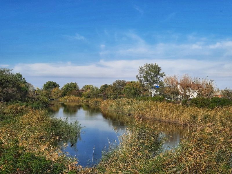 Осенний марафон. фото превью