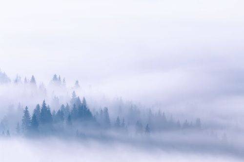 Под туманным одеялом