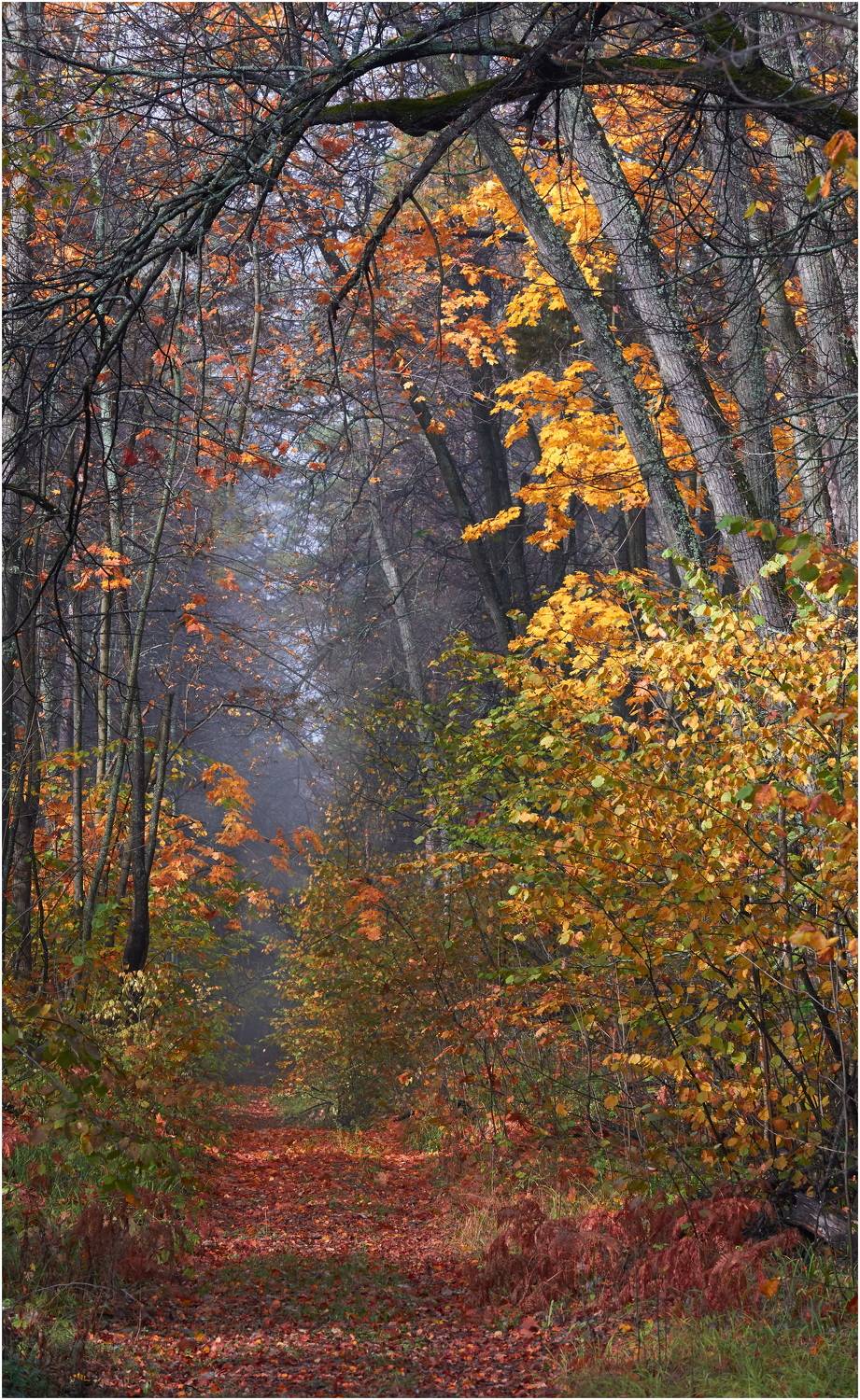 , Владимир Краснов