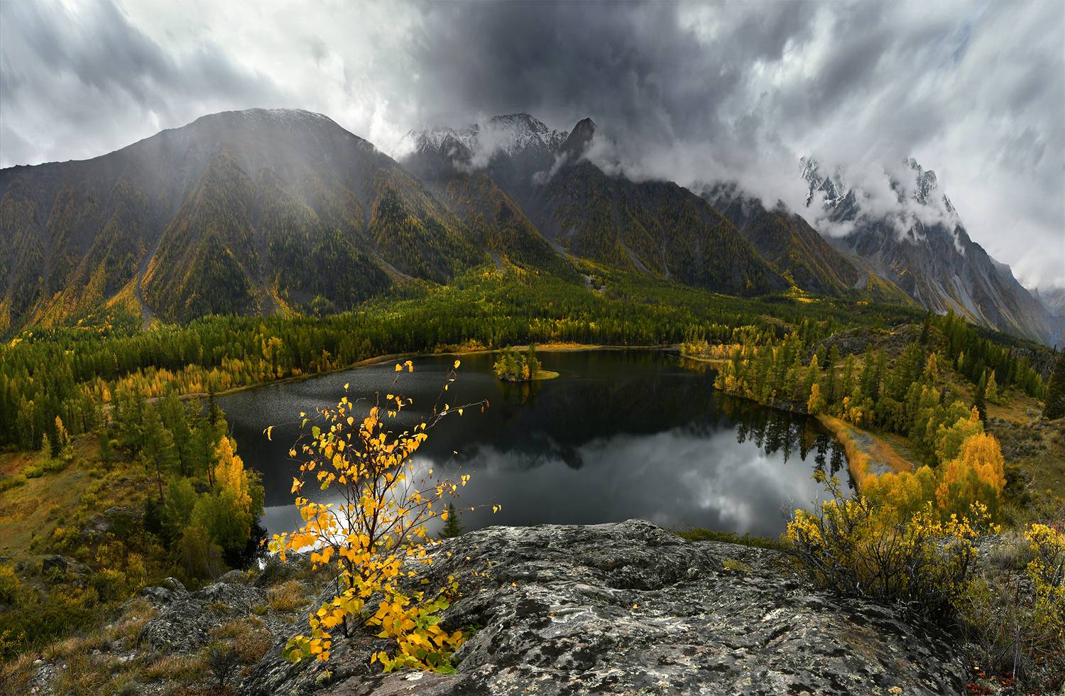 , Светлана Крат