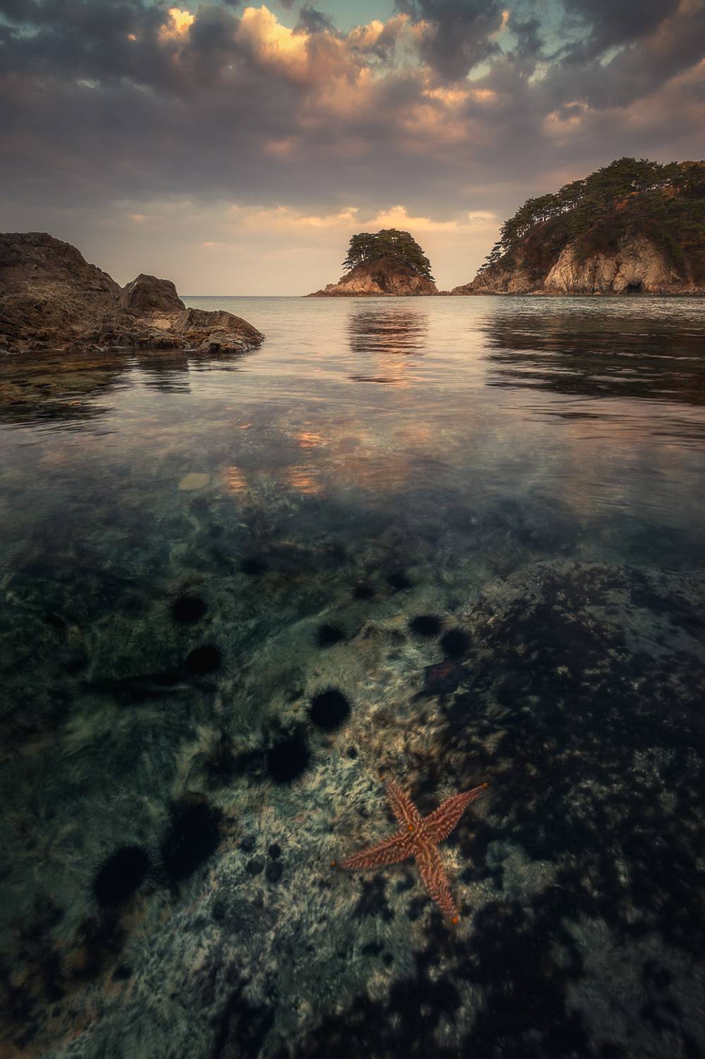 море, вечер, осень, звезда, Андрей Кровлин