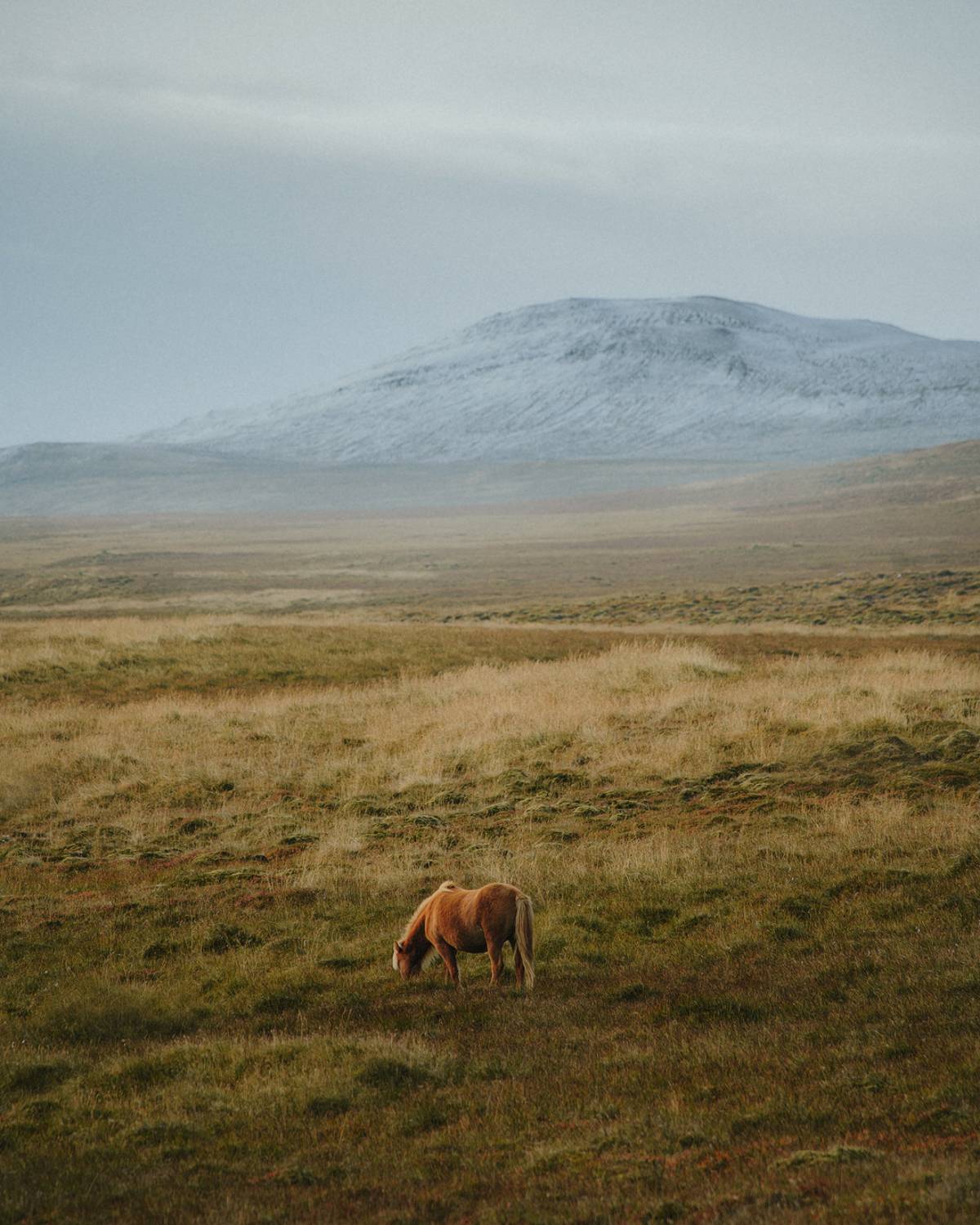, Иван Курмышов