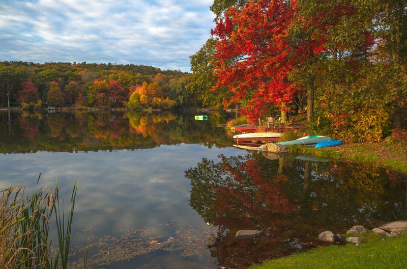 Художница- осень фото превью