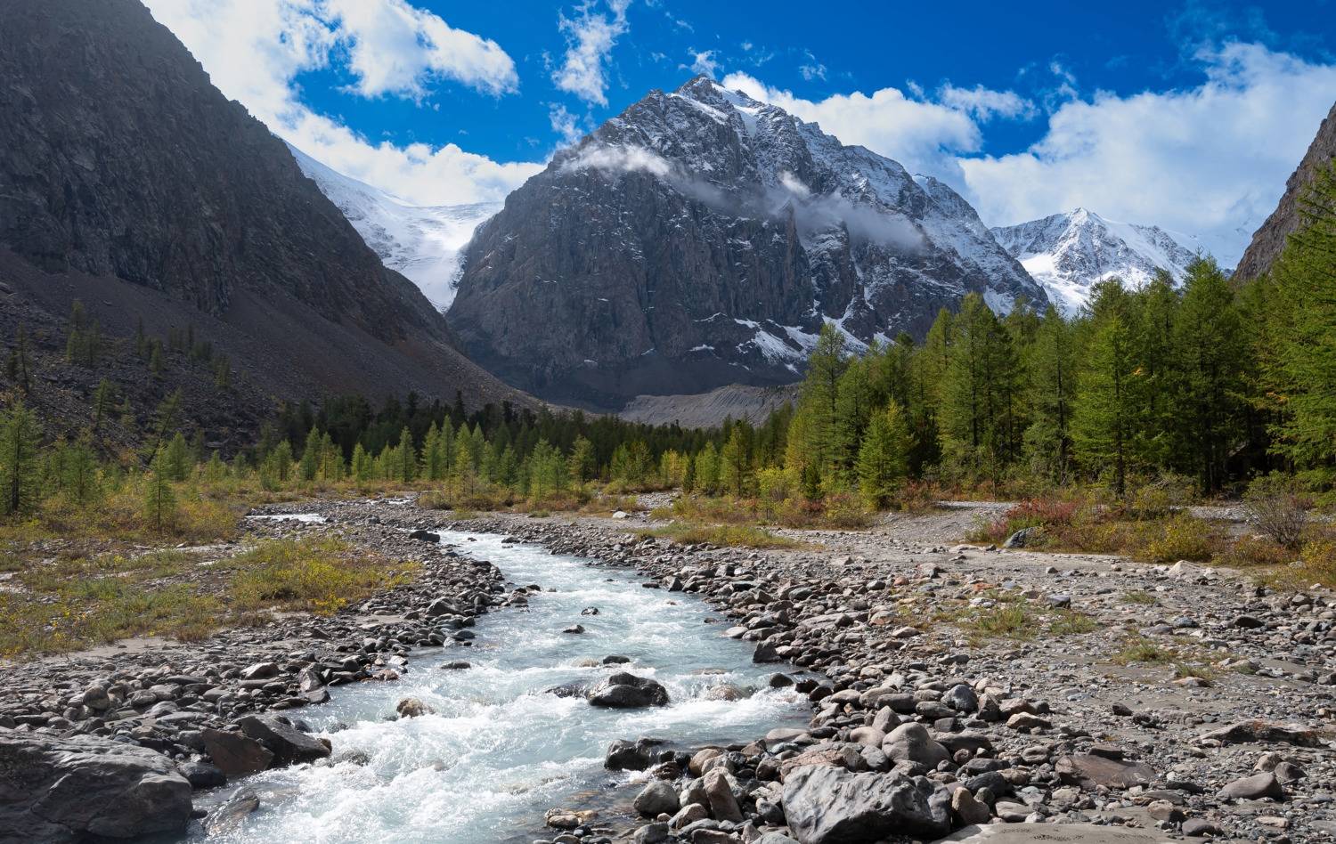 , Ватрушкин Максим