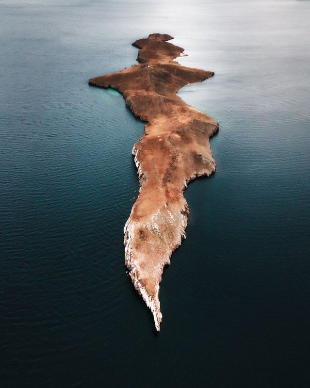 Силуэт фото превью