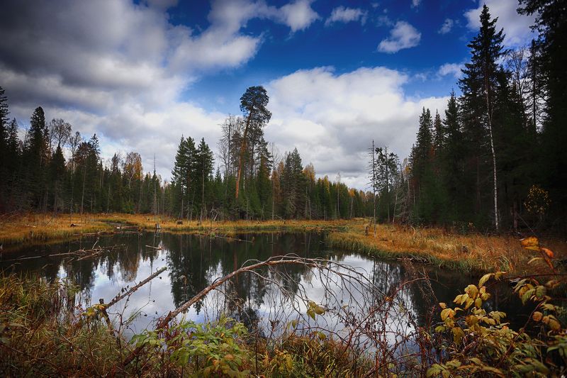 Осенняя пора фото превью