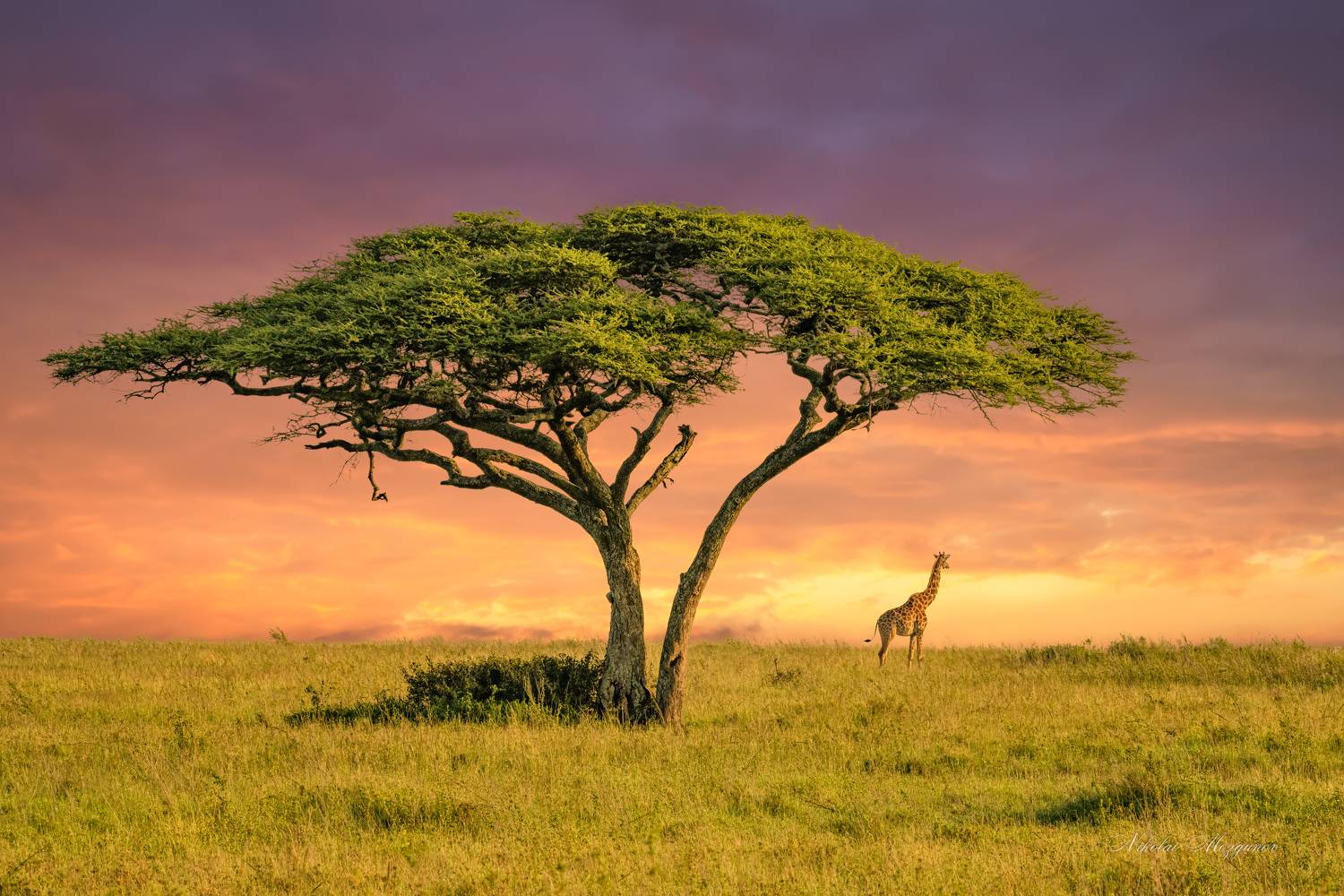 , Николай Мозгунов