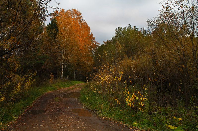 осень, сибирь, россия .. фото превью