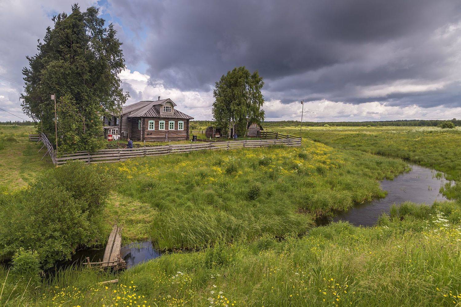 дом, луг, огород, ручей, речка, изгородь, деревья, хозяин дачник., Анкудинов Леонид